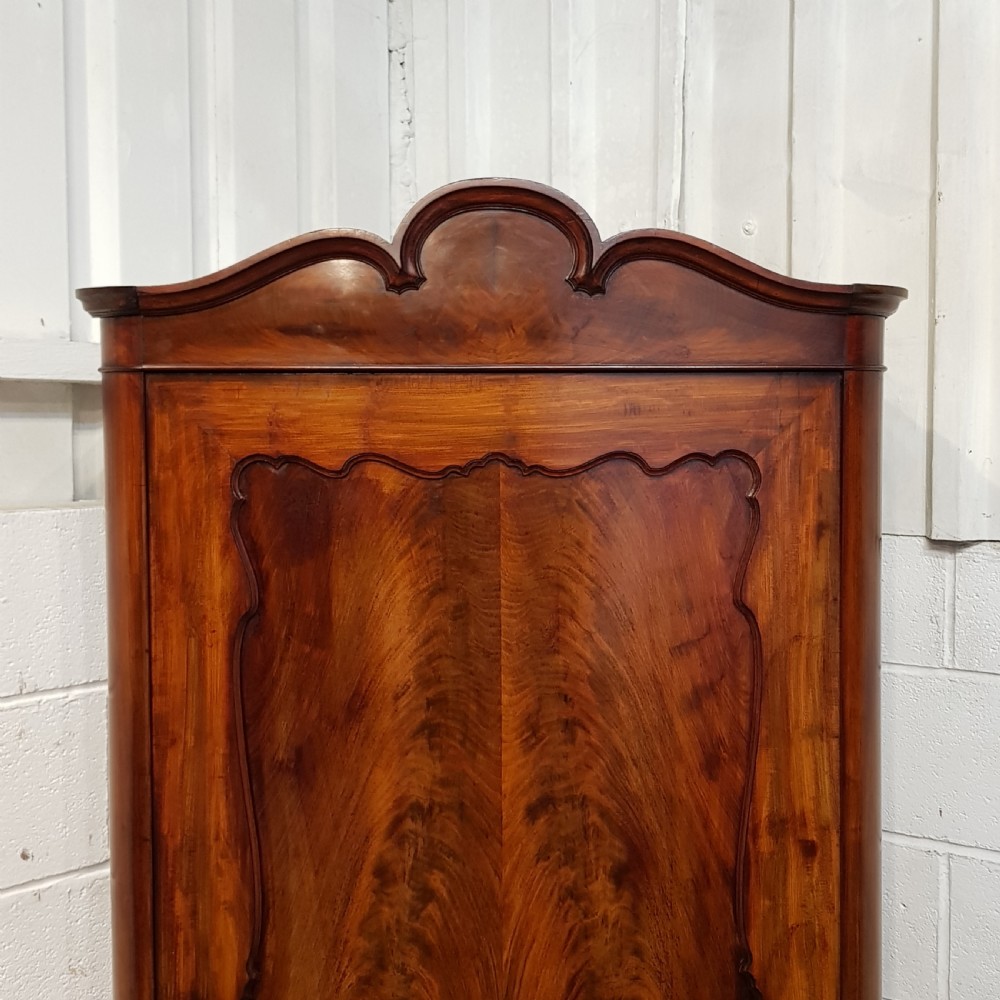 ANTIQUE 19TH CENTURY BIEDERMEIER  TALL NARROW MAHOGANY LINEN CUPBOARD C1850 View VI