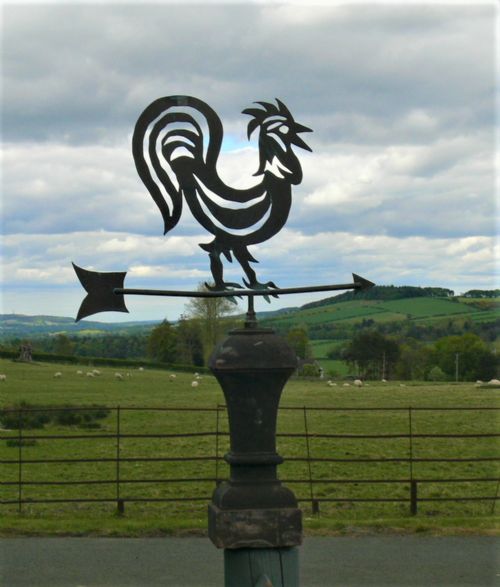 Weather Vane