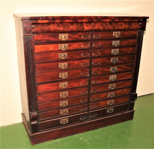 LARGE VICTORIAN SPECIMEN CHEST - ADDITIONAL PHOTO 1