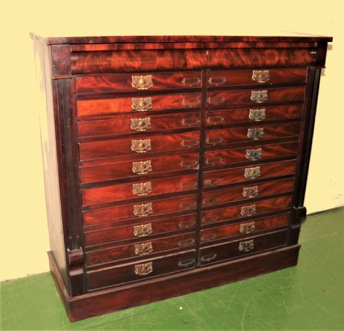 LARGE VICTORIAN SPECIMEN CHEST - ADDITIONAL PHOTO 2