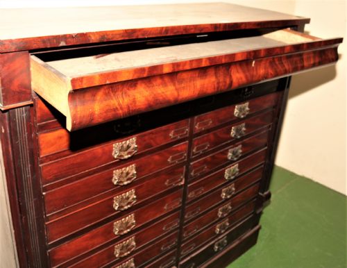 LARGE VICTORIAN SPECIMEN CHEST - ADDITIONAL PHOTO 4