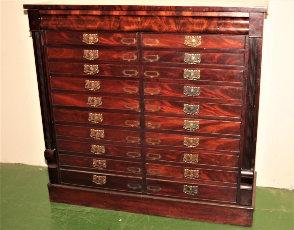 A large Victorian flame mahogany specimen chest featuring two side-by-side banks of shallow drawers with brass drop handles and central label holders.