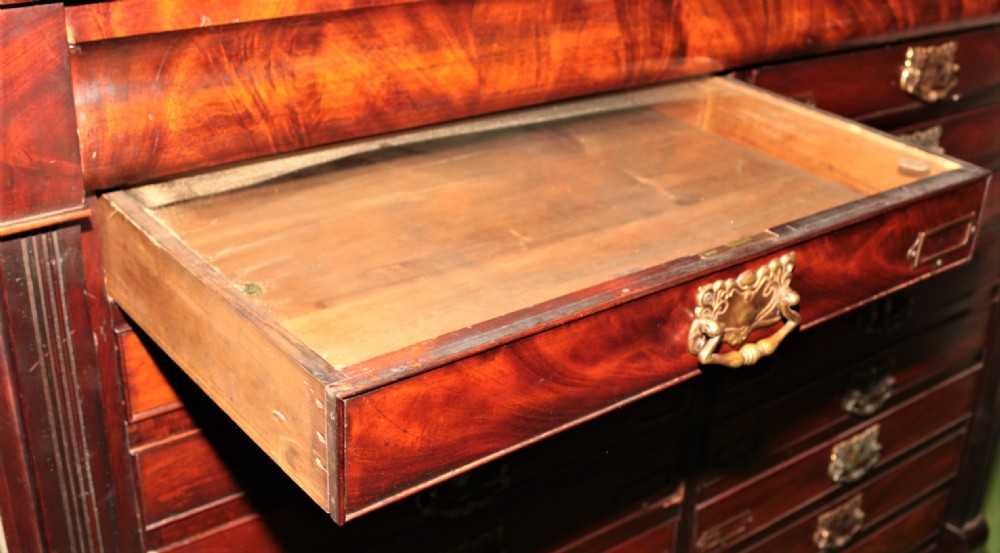 A large Victorian flame mahogany specimen chest featuring two side-by-side banks of shallow drawers with brass drop handles and central label holders. View IV