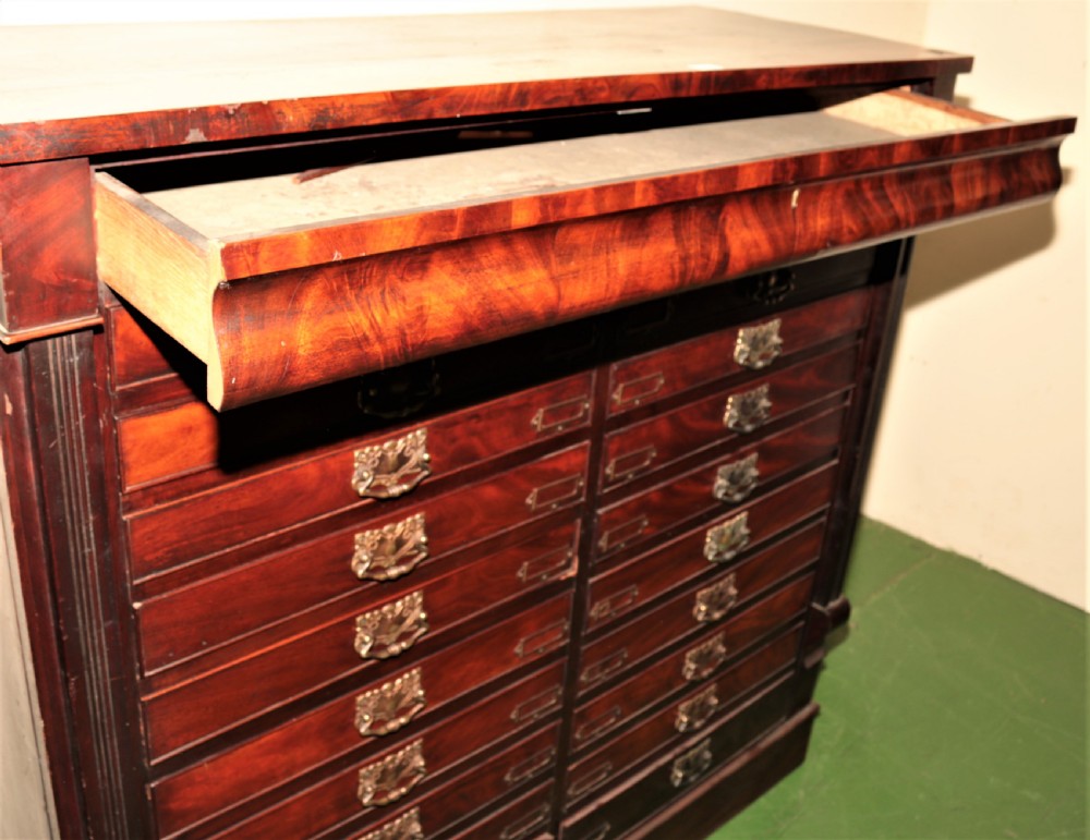 A large Victorian flame mahogany specimen chest featuring two side-by-side banks of shallow drawers with brass drop handles and central label holders. View V