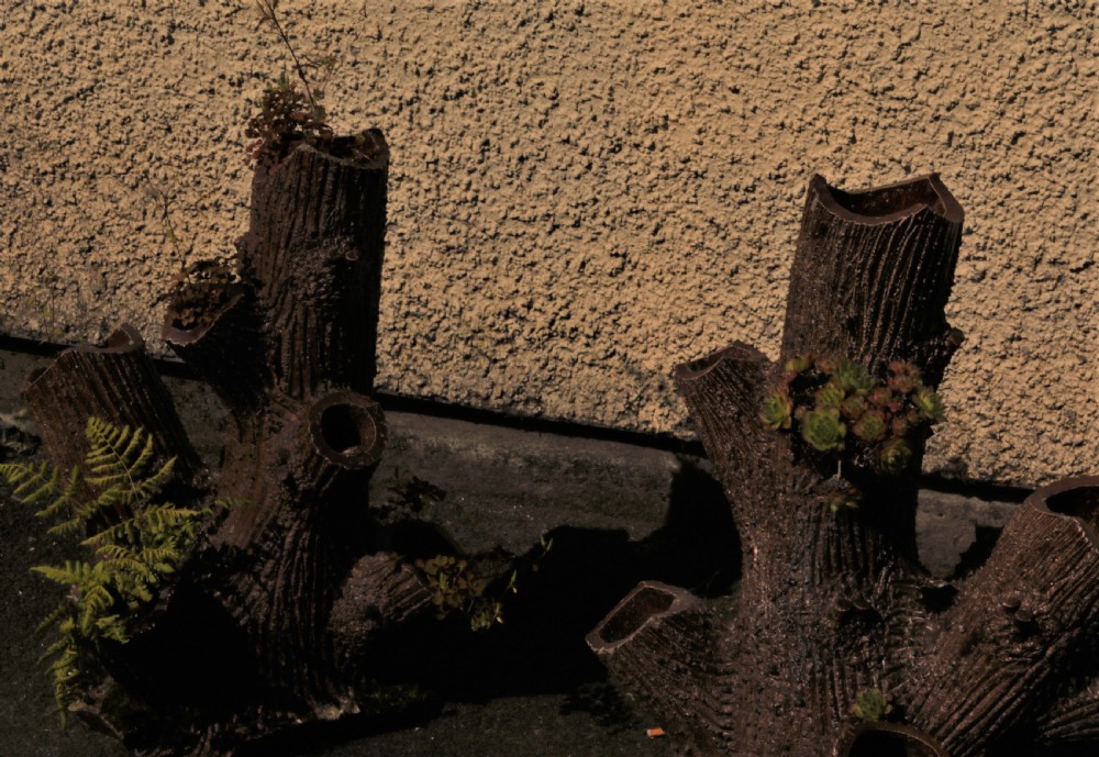 Terracotta strawberry pots. View II