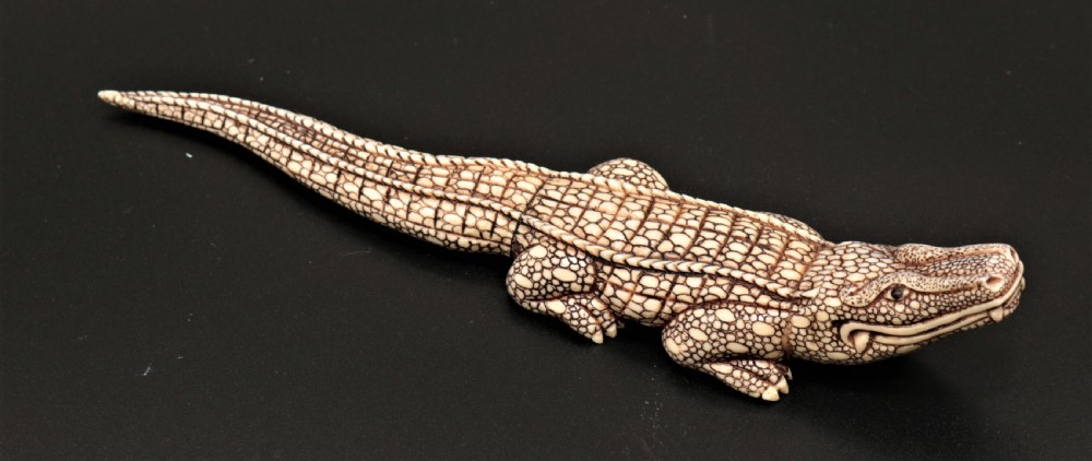 Ivory crocodile.
