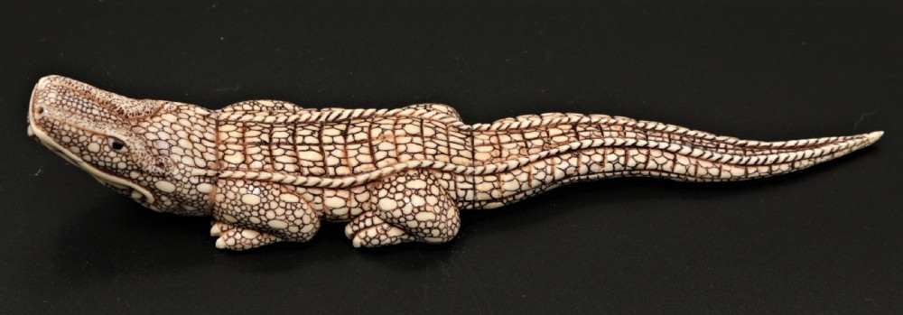 Ivory crocodile.
 View II
