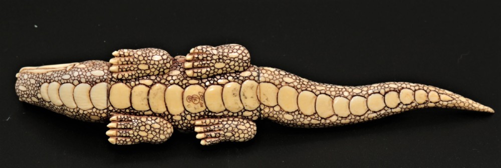 Ivory crocodile.
 View V