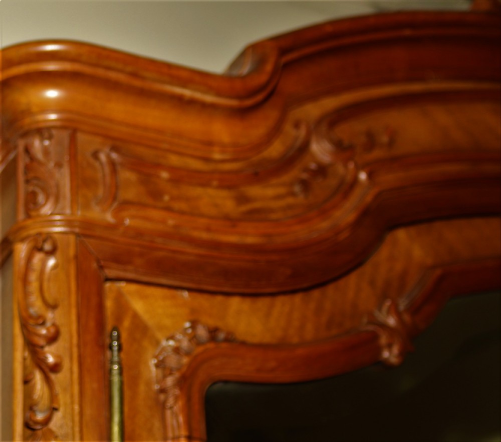 French Armoire. View VIII