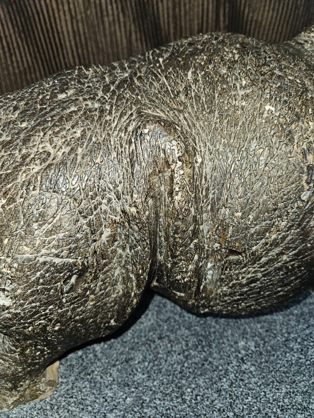 Very rare Rhino figure  View X