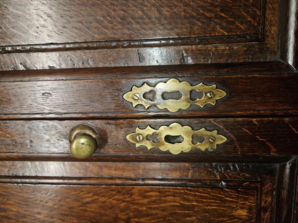 A large period dark oak livery cupboard featuring fielded arch-topped panel doors above a lower section fitted with drawers and brass hardware. View XIX