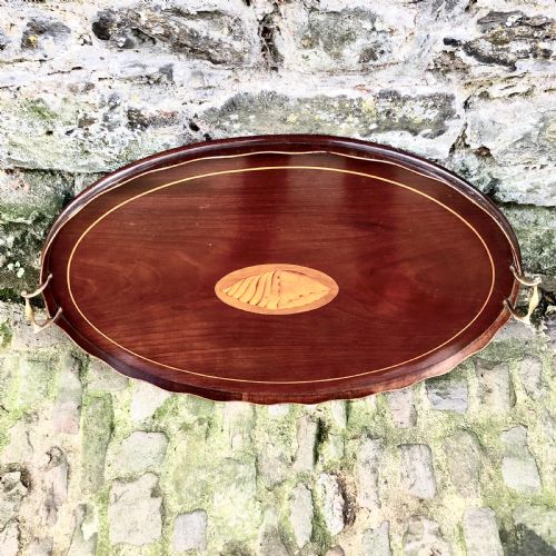 A LATE 19TH CENTURY MAHOGANY TRAY - ADDITIONAL PHOTO 1