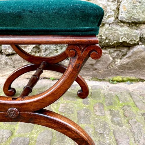 A WILLIAM IV ROSEWOOD XFRAME STOOL - ADDITIONAL PHOTO 2