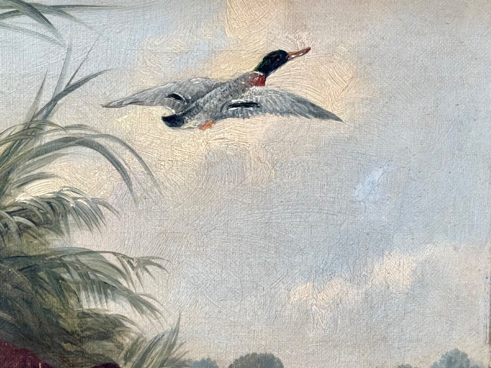 A late 19th century oil painting on canvas of spaniels hunting View V