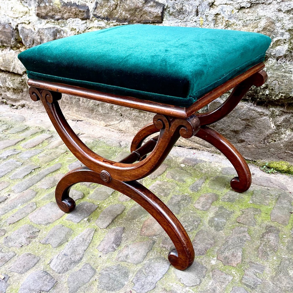 A William IV rosewood X-frame stool View II