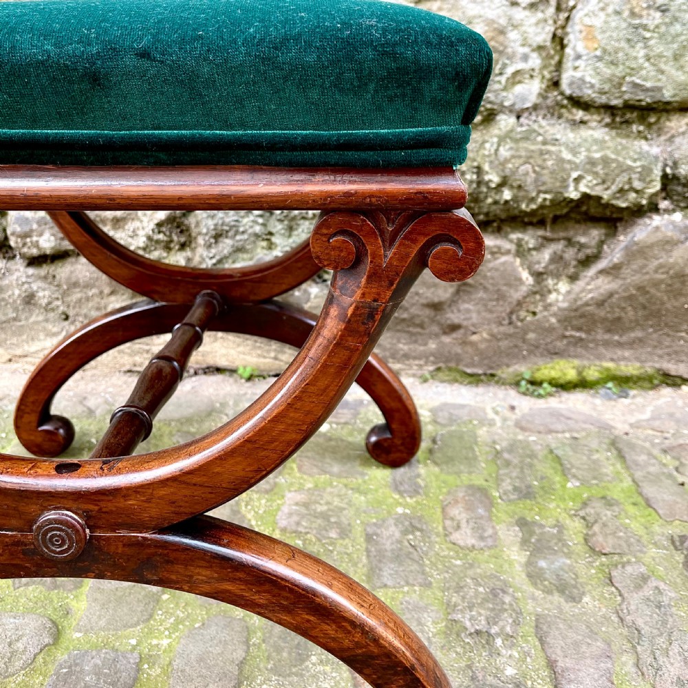 A William IV rosewood X-frame stool View III