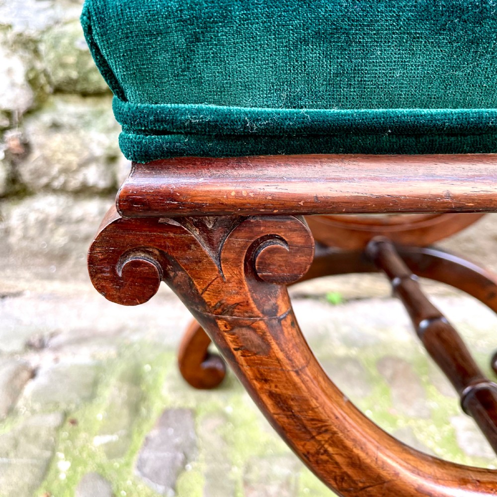 A William IV rosewood X-frame stool View V