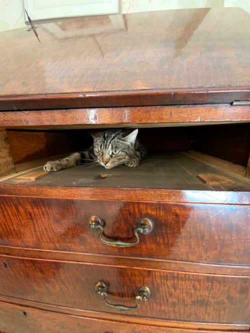 GEORGIAN MAHOGANY BUREAU - ADDITIONAL PHOTO 11