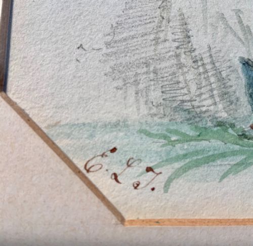 20TH CENTURY BOTANICAL WATERCOLOURS - ADDITIONAL PHOTO 5