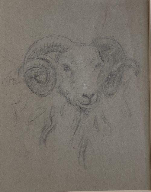 COLLECTION OF SEVEN ANIMAL DRAWINGS - ADDITIONAL PHOTO 2