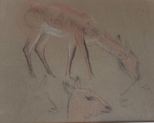 COLLECTION OF SEVEN ANIMAL DRAWINGS - ADDITIONAL PHOTO 3