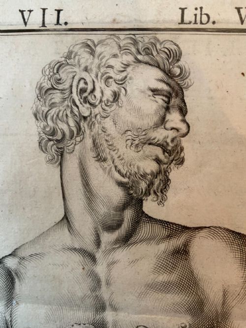 17TH CENTURY ANATOMICAL ENGRAVING - ADDITIONAL PHOTO 2