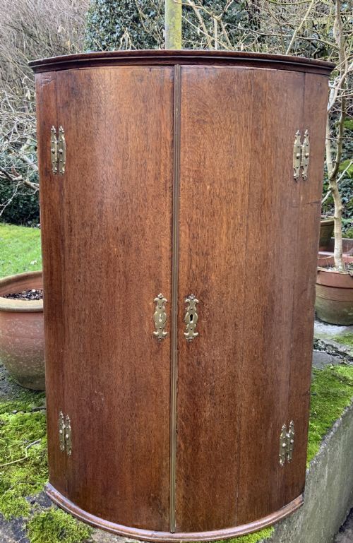 georgian oak bow front corner cupboard - CATEGORY: ANTIQUE CUPBOARDS - DATED GEORGIAN