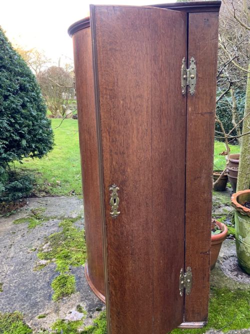 GEORGIAN OAK BOW FRONT CORNER CUPBOARD - ADDITIONAL PHOTO 5