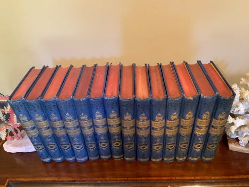 COMPLETE 19TH CENTURY 14 VOLUME ENCYCLOPAEDIA - ADDITIONAL PHOTO 1