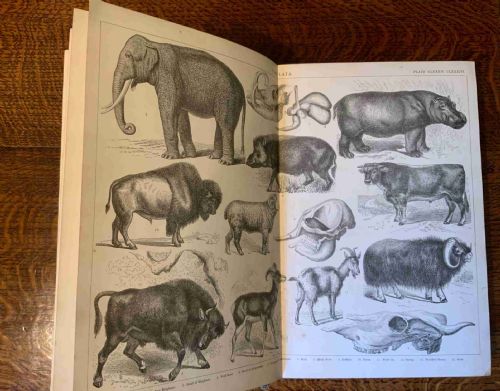 COMPLETE 19TH CENTURY 14 VOLUME ENCYCLOPAEDIA - ADDITIONAL PHOTO 4