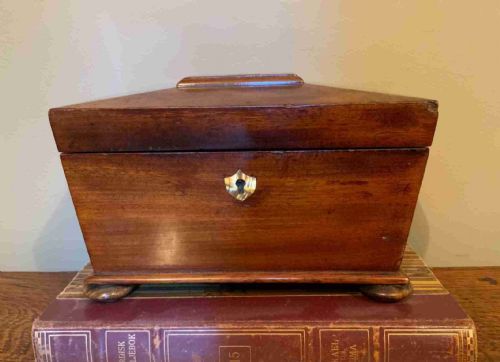 a georgian mahogany tea caddy - CATEGORY: ANTIQUE BOXES - DATED REGENCY
