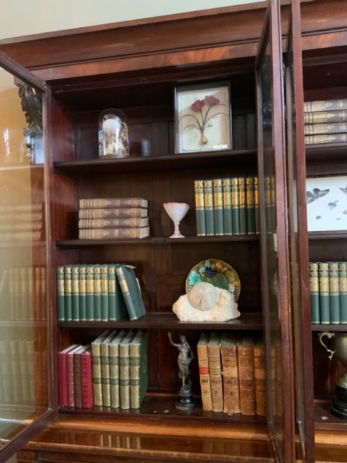 A GEORGE IV MAHOGANY LIBRARY BOOKCASE - ADDITIONAL PHOTO 6