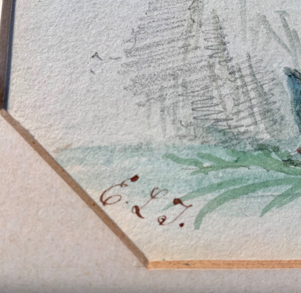 20th century botanical watercolours  View VI