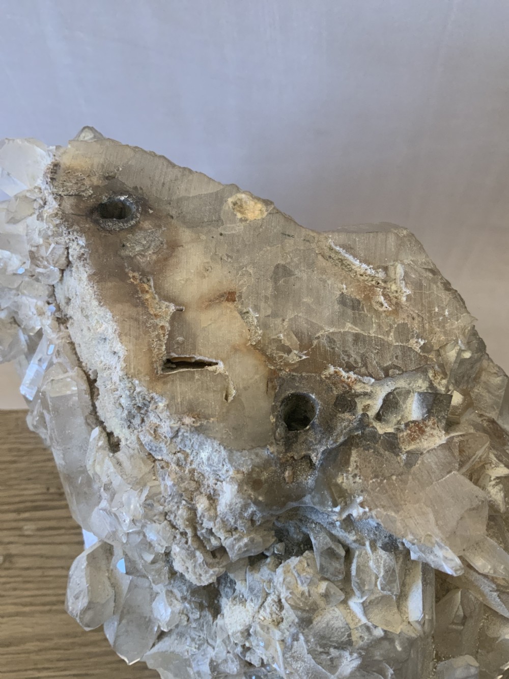 A carved stone parrot View XI