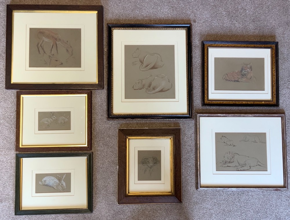 Collection of seven animal drawings