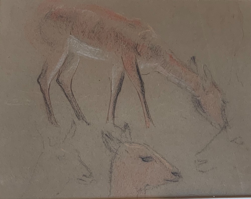 Collection of seven animal drawings View IV