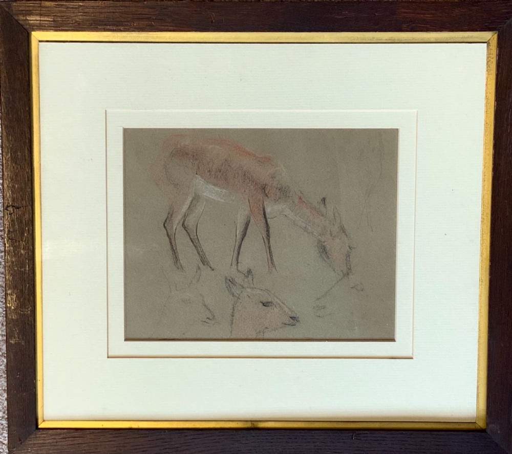 Collection of seven animal drawings View V