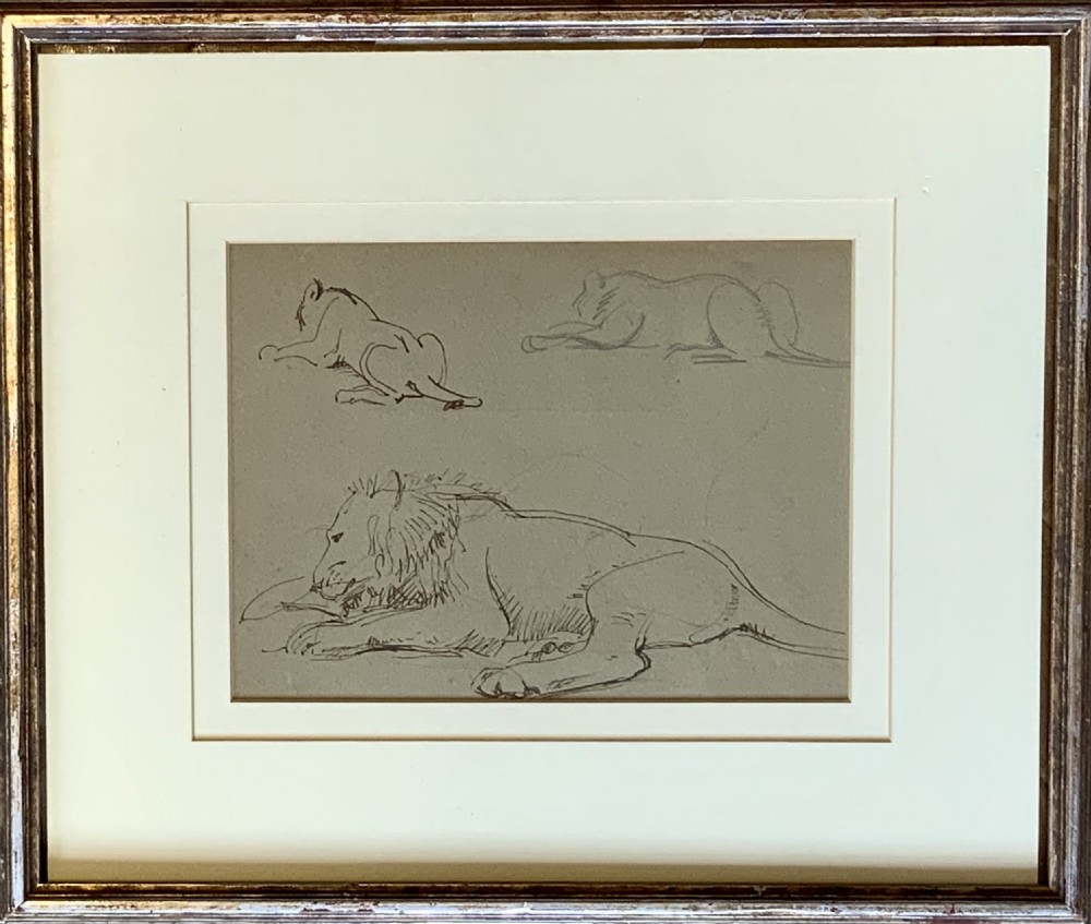 Collection of seven animal drawings View VIII