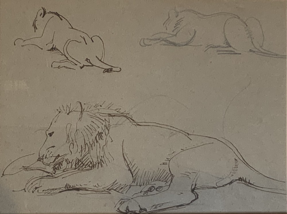 Collection of seven animal drawings View IX