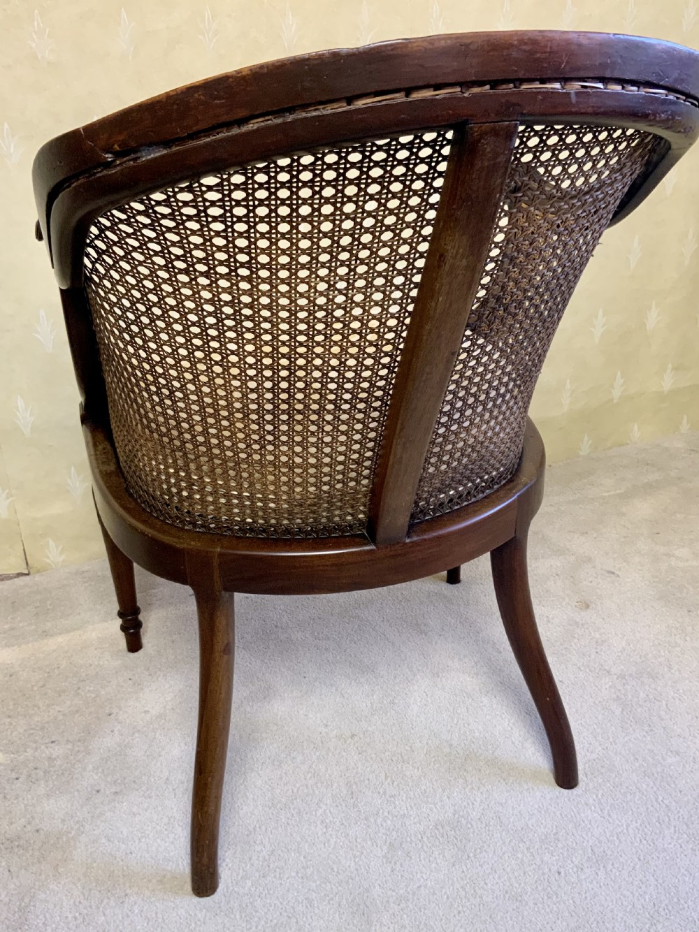 Pair Bergere arm chairs View V