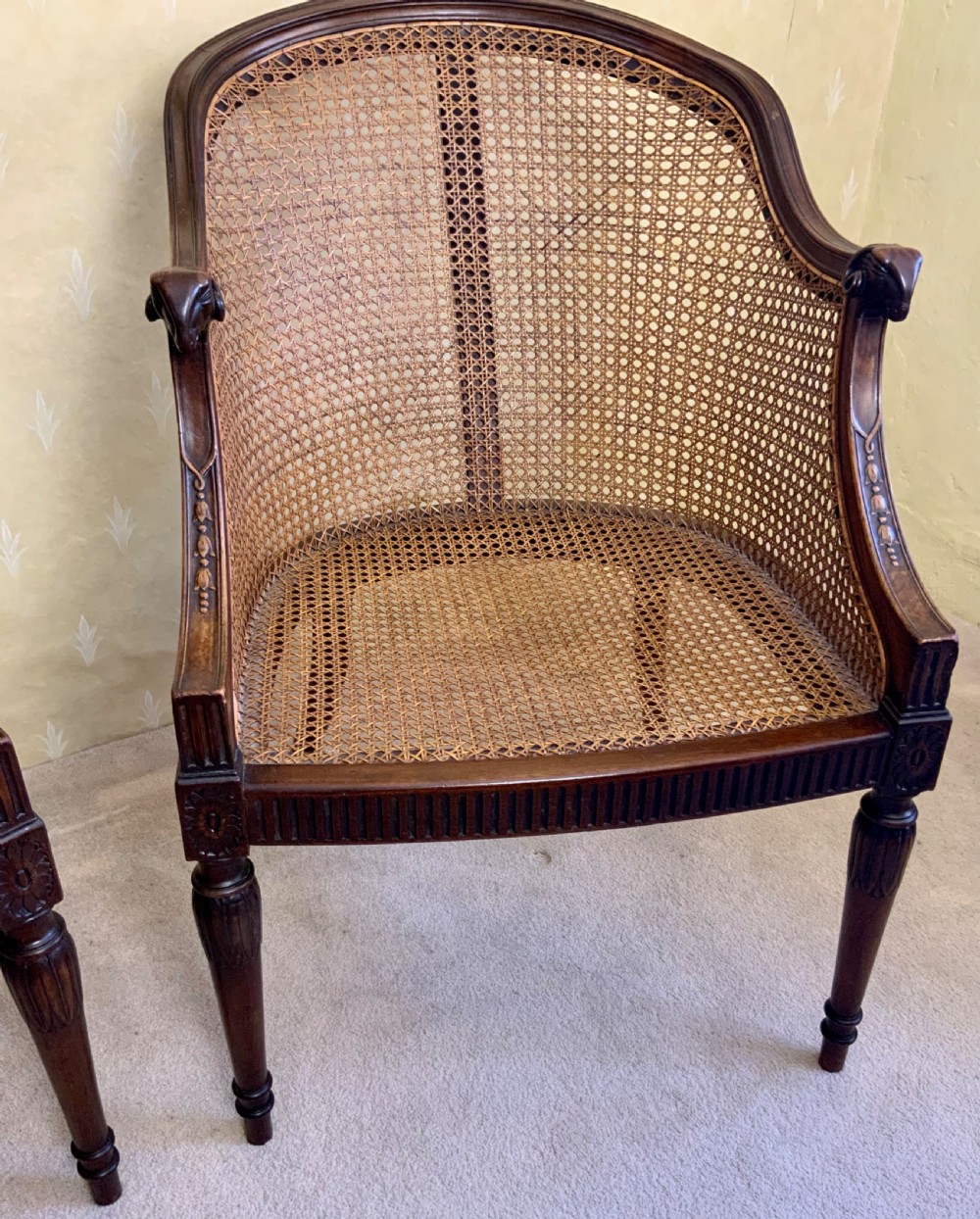 Pair Bergere arm chairs View VIII