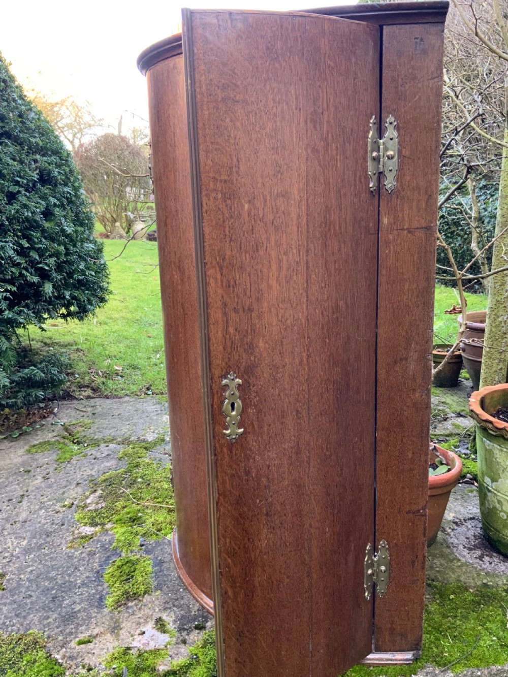 Georgian oak bow front corner cupboard View VI