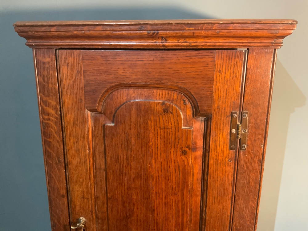 A tall slim, single door oak cabinet View III