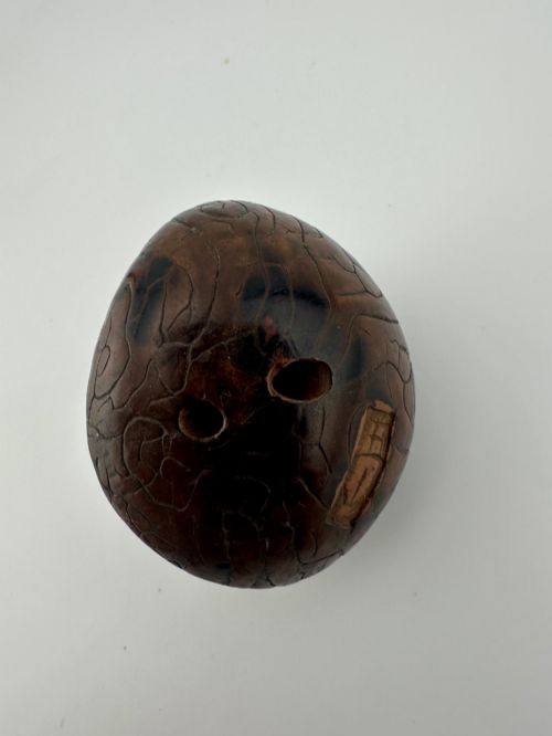 fig 3. A 19th-century Japanese carved boxwood netsuke depicting a snail resting on the cap of a ribbed mushroom.