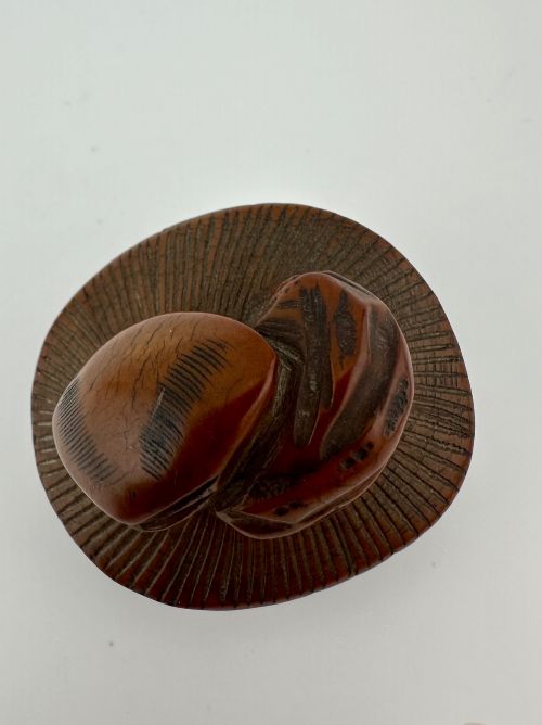 fig 4. A 19th-century Japanese carved boxwood netsuke depicting a snail resting on the cap of a ribbed mushroom.