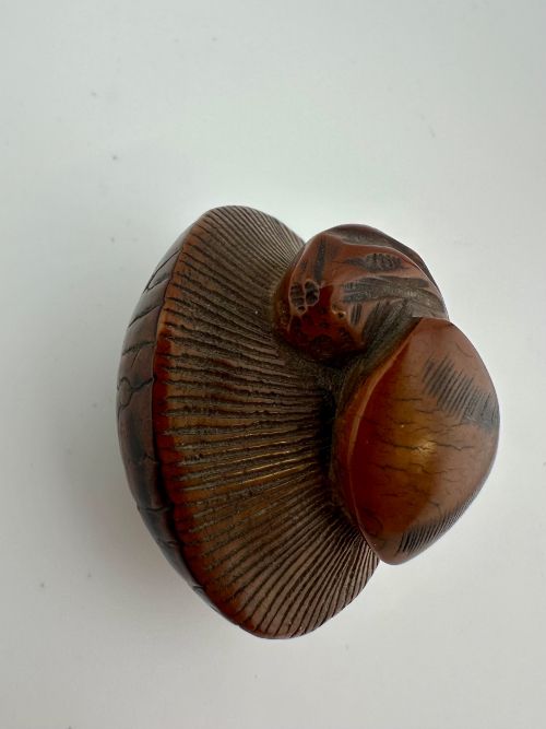 fig 5. A 19th-century Japanese carved boxwood netsuke depicting a snail resting on the cap of a ribbed mushroom.