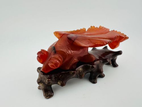 Chinese Carved Carnelian Agate Fantail Goldfish on Fitted Hardwood Stand C.1930–1940