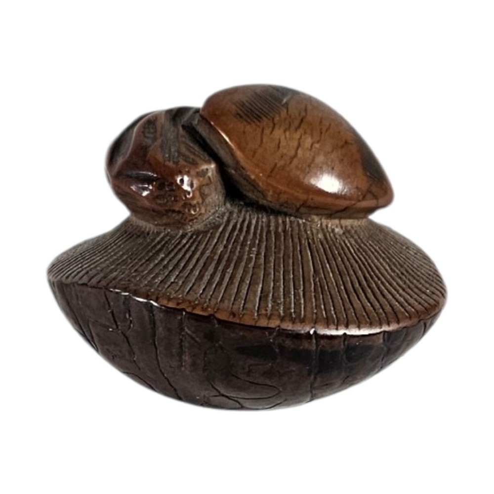 A 19th-century Japanese carved boxwood netsuke depicting a snail resting on the cap of a ribbed mushroom.