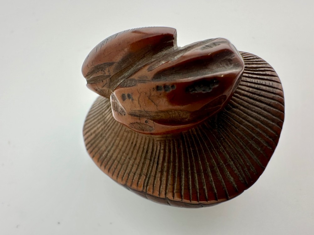 A 19th-century Japanese carved boxwood netsuke depicting a snail resting on the cap of a ribbed mushroom. View VII