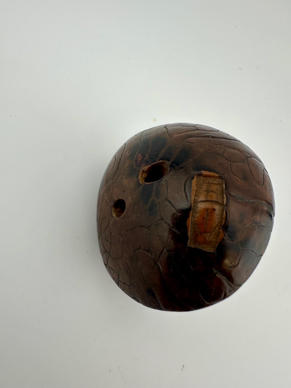 A 19th-century Japanese carved boxwood netsuke depicting a snail resting on the cap of a ribbed mushroom. View VIII